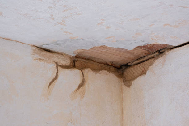 Local water damage restoration