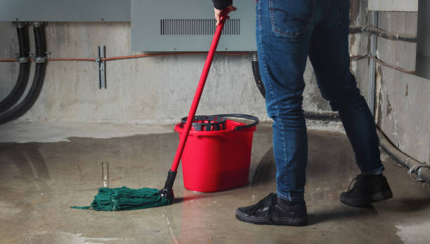 Best Flood damage cleanup  in Foley, MN