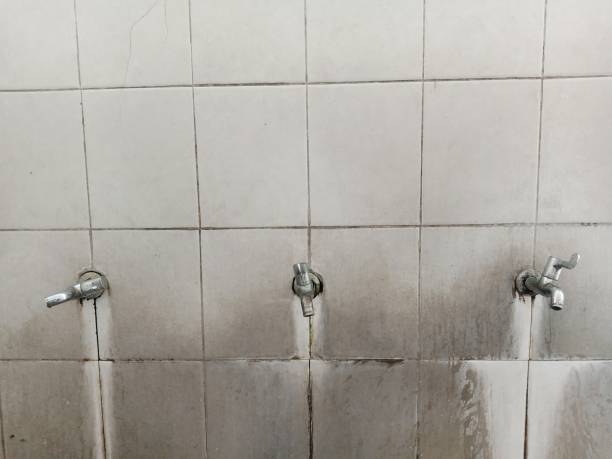 Best Water damage restoration mold remediation  in Foley, MN