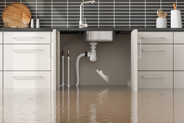 Best Flood restoration services  in Foley, MN