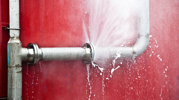 Best Mold removal after water damage  in Foley, MN